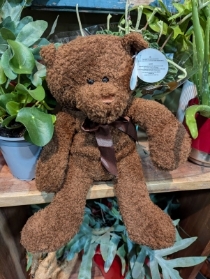 Teddy Bear Brown