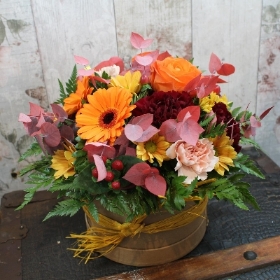 Seasonal Selection